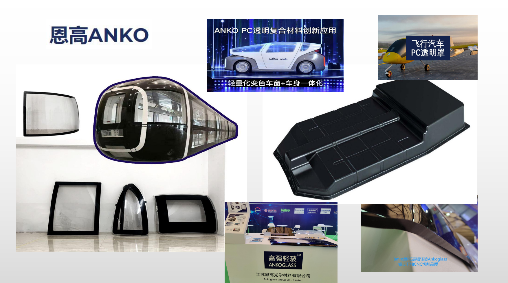 3. Дело Анко